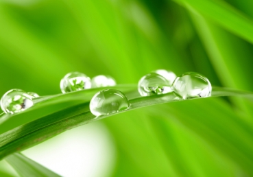 Jesus, O living Word of God