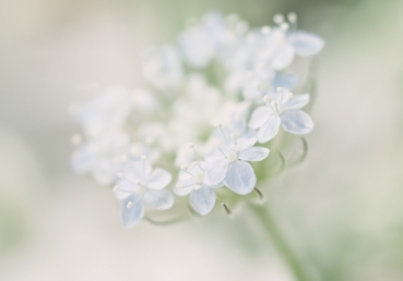 Take my life, and let it be