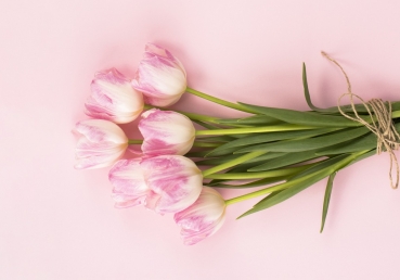 한 지방 교회의 경계에 관하여