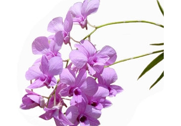 아브라함 이삭 야곱의 하나님