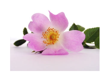 성경의 진수는 과연 무엇인가?