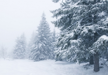 중국이 규정한 사교 단체(최근)
