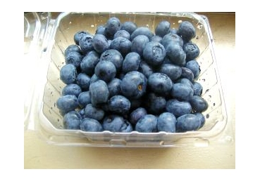 단체적인 하나님의 표현