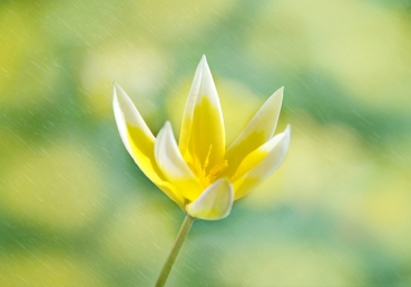 ‘허수아비 때리기’에 불과한 김홍기 목사의 지방교회 양태론 정죄